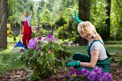 Front view of a Holborn terrace garden with professional gardeners at work