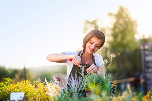 Gardener inspecting a client garden